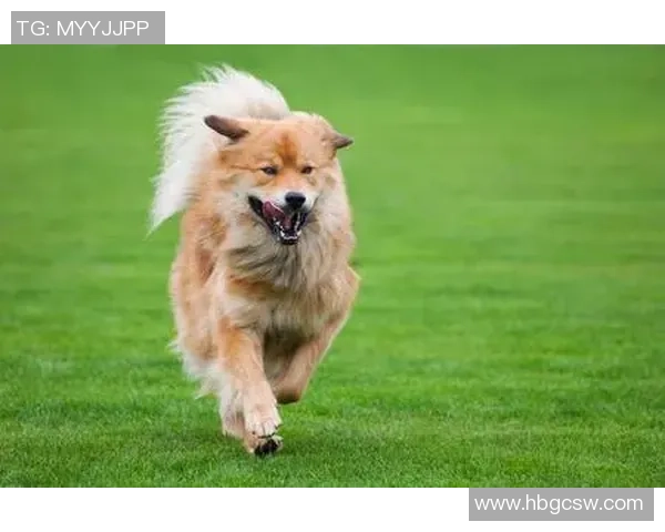 足球明星光着脚在草坪上奔跑展现自然魅力与运动激情的完美结合 足球明星光着脚在草坪上奔跑展现自然魅力与运动激情的完美结合