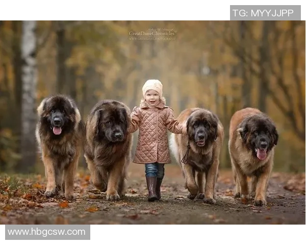 足球明星乘私人飞机归乡与家人团聚展现温馨一幕