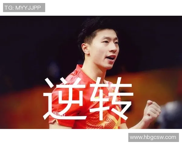 深圳排球队灵活性展现出色大满贯点评分析其战术与表现 深圳排球队灵活性展现出色大满贯点评分析其战术与表现