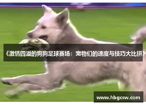 《激情四溢的狗狗足球赛场：宠物们的速度与技巧大比拼》