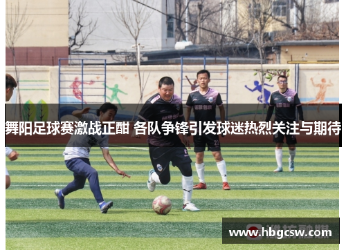 舞阳足球赛激战正酣 各队争锋引发球迷热烈关注与期待