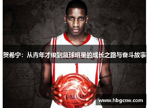 贺希宁：从青年才俊到篮球明星的成长之路与奋斗故事